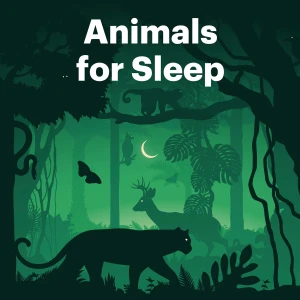 Animals for Sleep