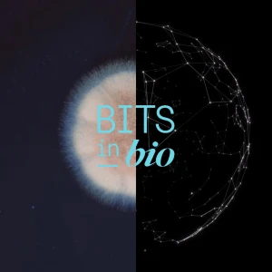 The Bits in Bio Podcast