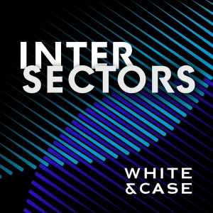 InterSectors: Legal perspectives on global business