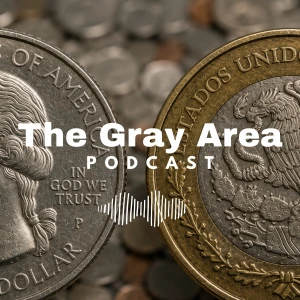 The Gray Area
