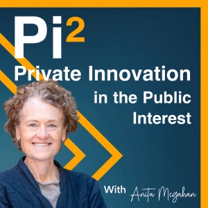 Private Innovation in the Public Interest