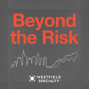 Beyond the Risk