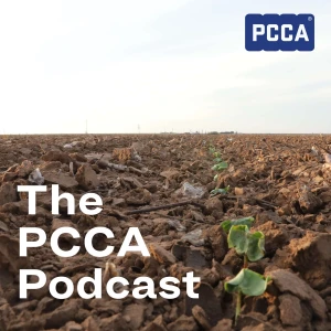 The PCCA Podcast