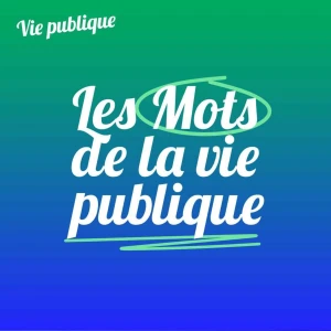 Les Mots de la vie publique