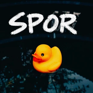 Spor