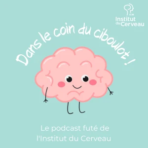 Dans le coin du ciboulot !