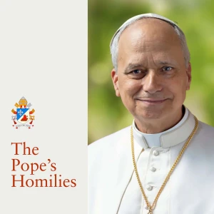 The Pope's Homilies - English Version of the Pope’s Sermons and Speeches