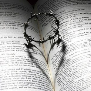 廣東話聖經故事+心靈片語 |  Bible Stories+Soul Whispers in Cantonese