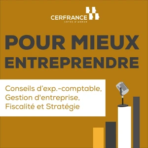 Pour mieux entreprendre : Conseils d'expert-comptable, gestion d'entreprise, fiscalité et stratégie