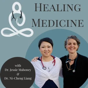 Healing Medicine: Mindfulness, Mindset & Physician Well-Being