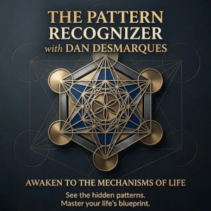 The Pattern Recognizer