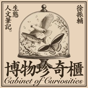 博物珍奇櫃——徐振輔生態人文筆記