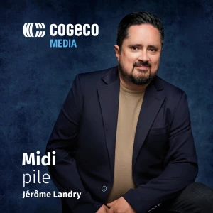 Midi Pile