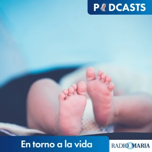 En torno a la vida