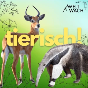 tierisch! – Eine Reise in die wilde Welt der Tiere mit der Wildtierbiologin Frauke Fischer