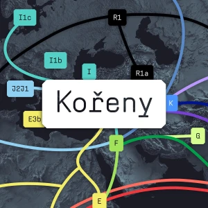 Kořeny