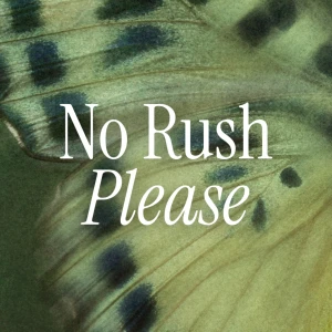 No Rush Please