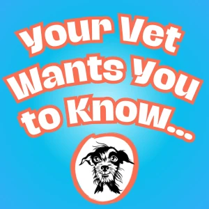 Your Vet Wants You to Know