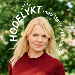 Hodelykt