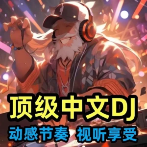 高音质中文DJ