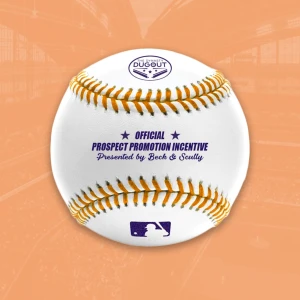 The Prospect Promotion Incentive