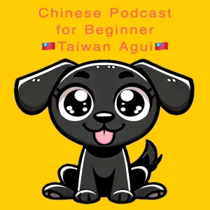 Learning Chinese with Agui