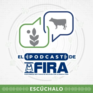 FIRA Podcast