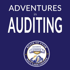 Adventures in Auditing