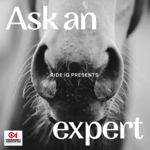 Ask An Expert: Horse Care and Riding Advice