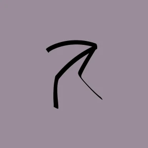 理感青年