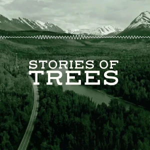 Stories of Trees