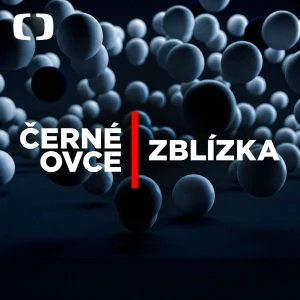 Černé ovce zblízka