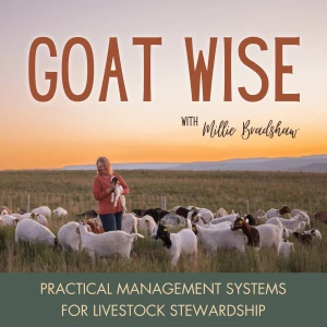 Goat Wise | Meat Goats, Feeding Goats, Goat Fencing, Livestock Management