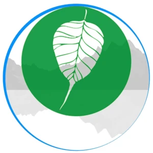 Somatic Primer Podcast