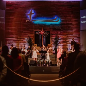 Crystal River COG