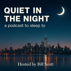 Quiet In The Night