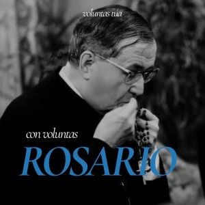 Rosario con Voluntas Tua