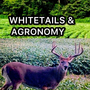 WHITETAILS AND AGRONOMY