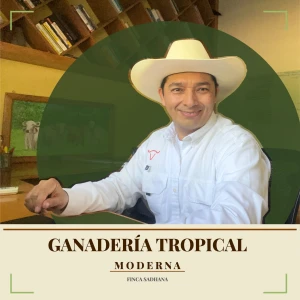 Ganadería Tropical Moderna