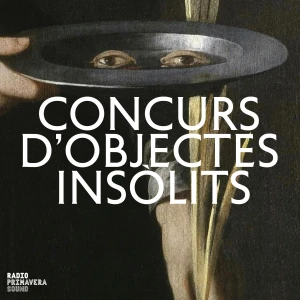 Concurs d’Objectes Insòlits