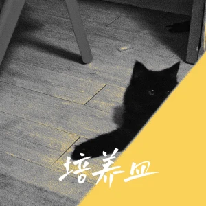 培养皿