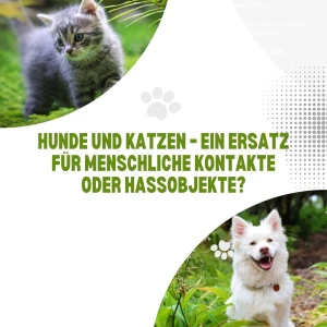 Hunde und Katzen