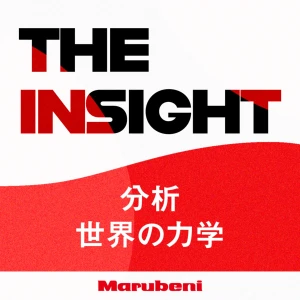 THE INSIGHT ~分析 世界の力学~
