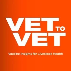 Vet to Vet