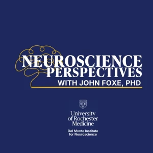 Neuroscience Perspectives