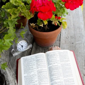 Believers on Board