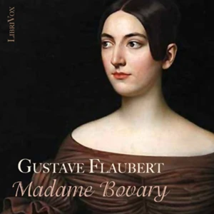 Gustave Flaubert - Madame Bovary (Français)