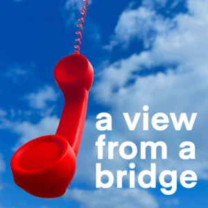 A View From A Bridge