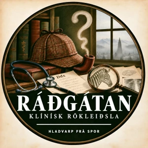 Ráðgátan