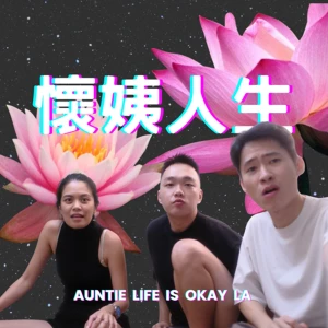 懷姨人生